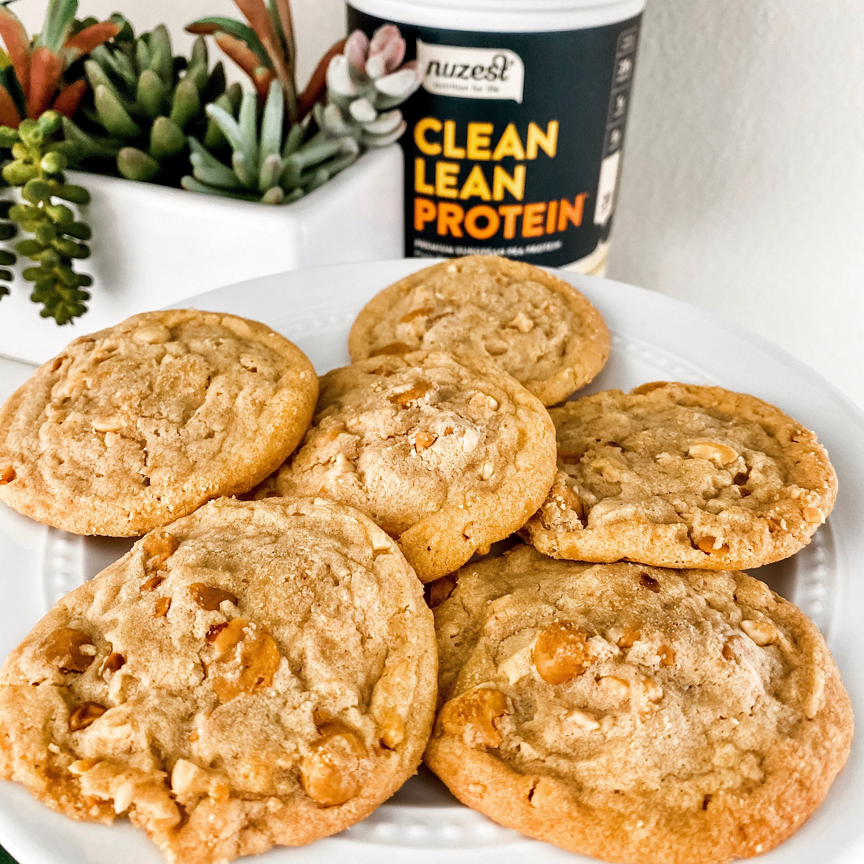 PEANUT BUTTER PROTEIN COOKIES