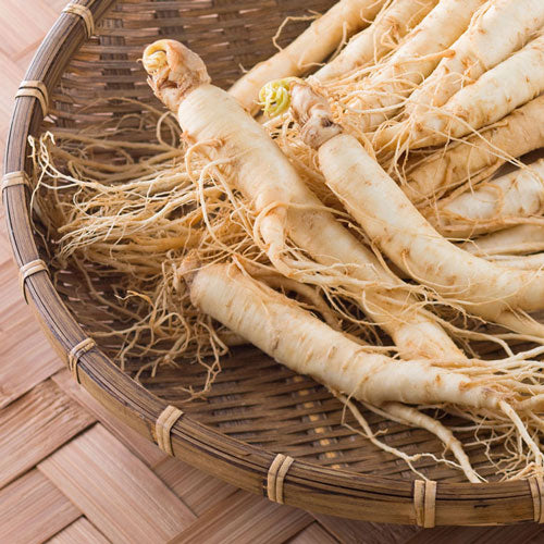 Good Green Vitality Ingredient Spotlight: The brain boosting benefits of Panax Ginseng