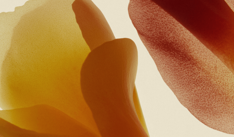 What Does Natural Flavour Really Mean? - Nuzest AU