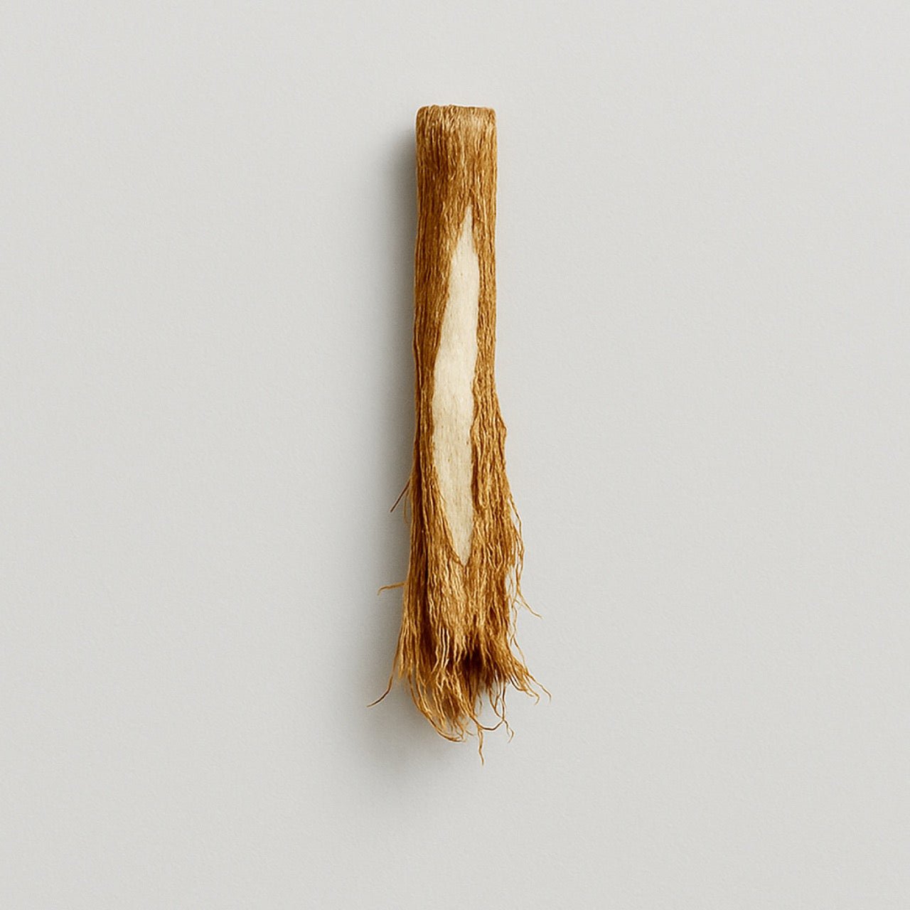 Nuzest ingredients - Angelica root