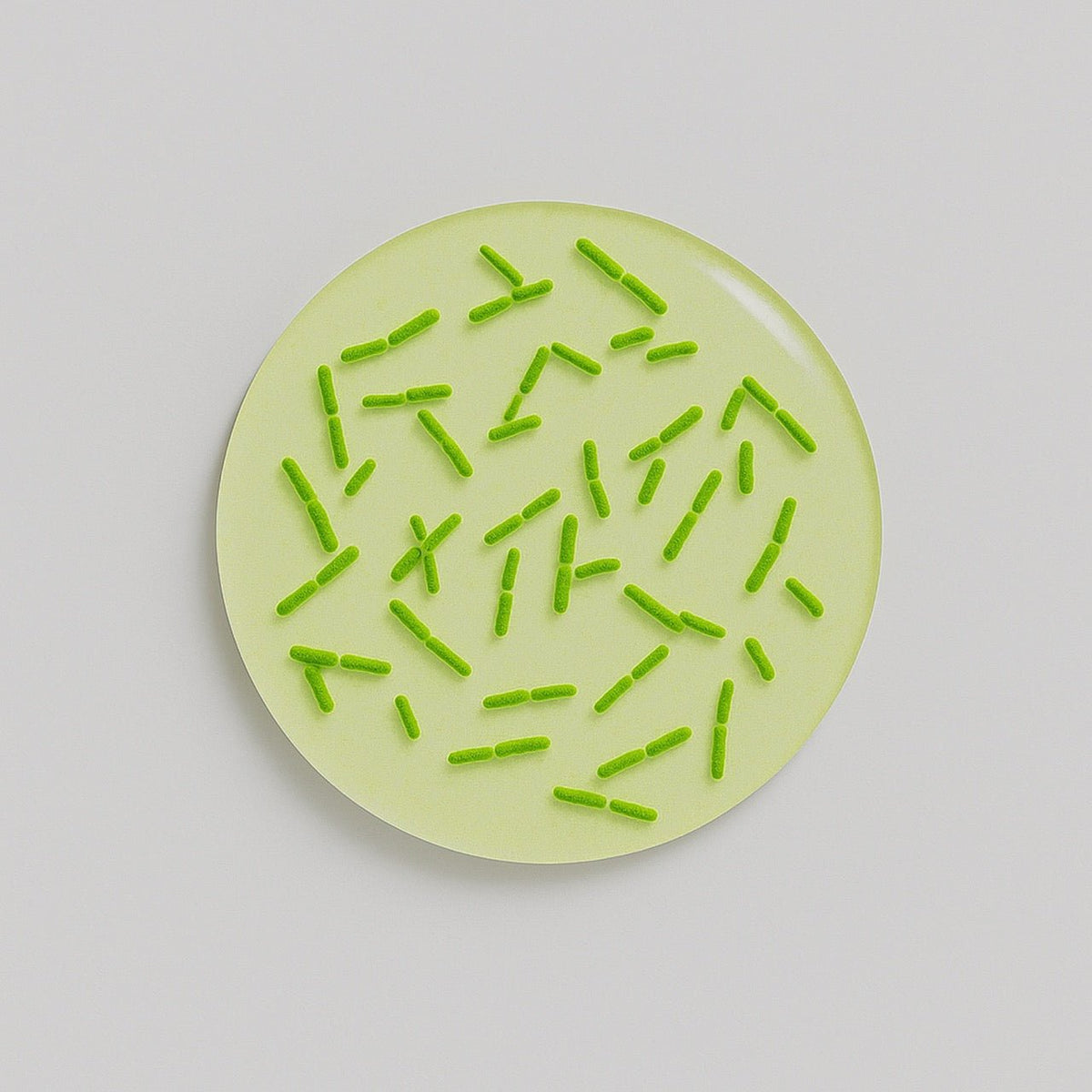 Nuzest ingredients - Bifidobacterium bifidum