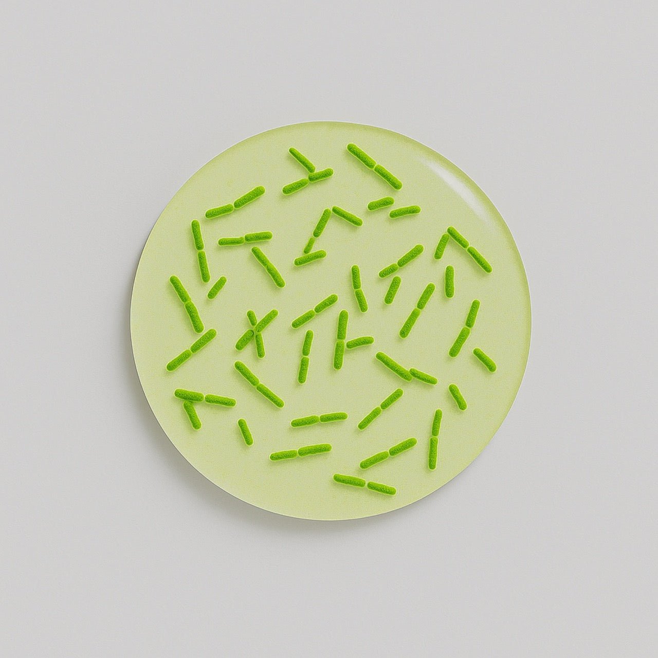 Nuzest ingredients - Bifidobacterium bifidum