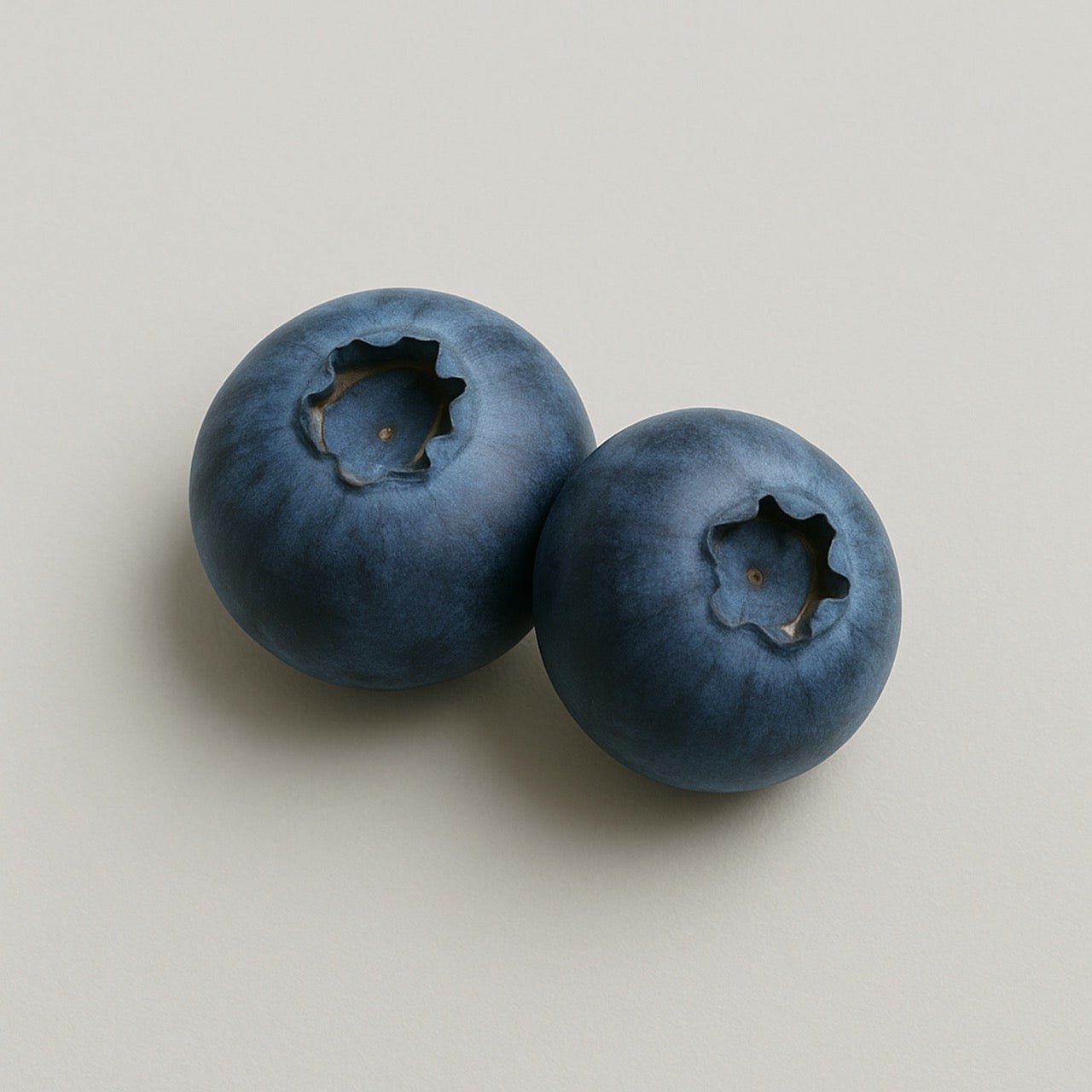 Nuzest ingredients - Bilberry