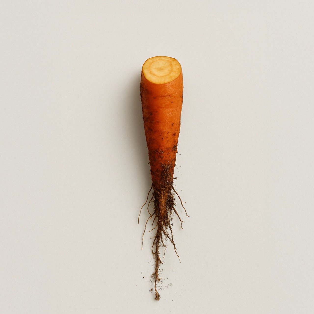Nuzest ingredients - Carrot