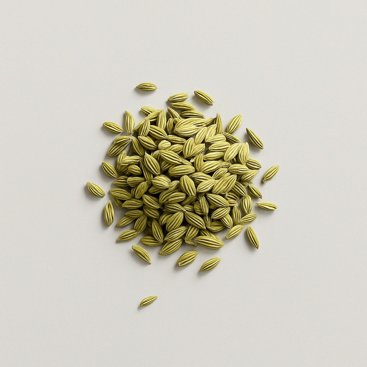 Nuzest ingredients - Fennel seed