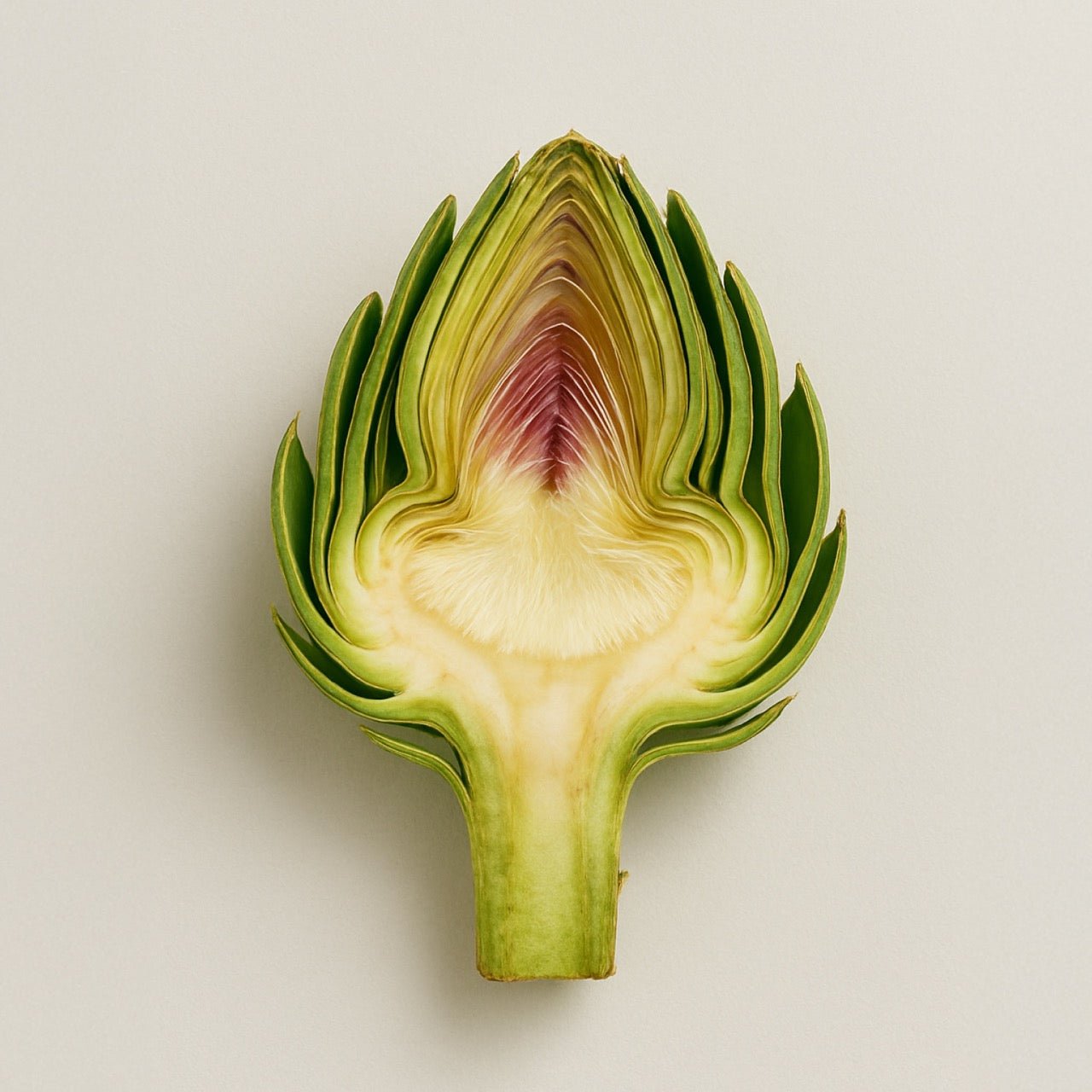 Nuzest ingredients - Globe Artichoke