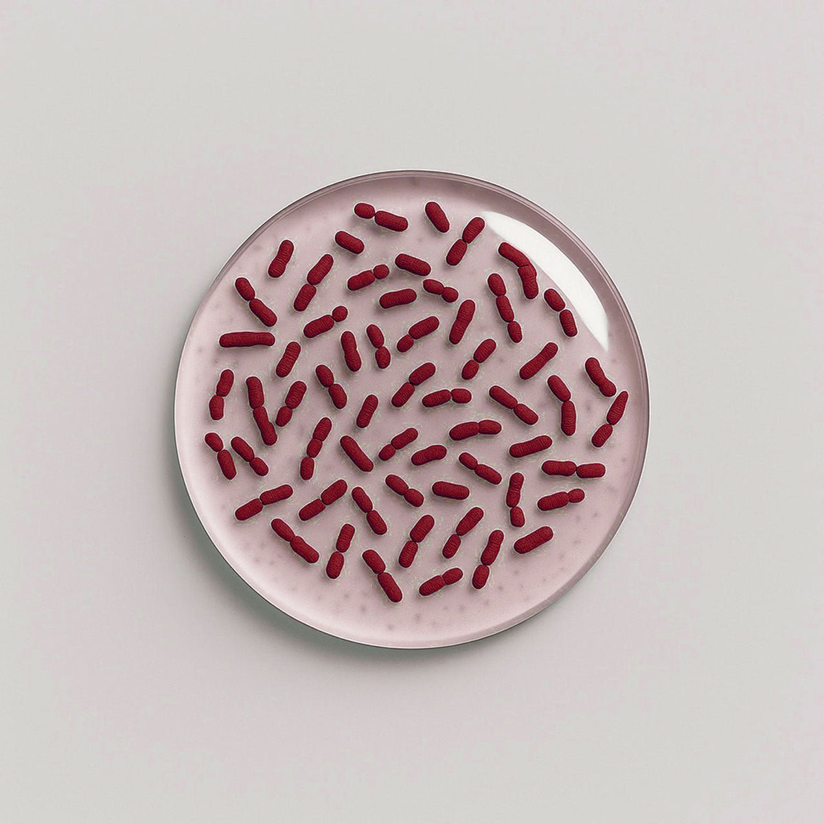 Nuzest ingredients - Lactobacillus acidophilus