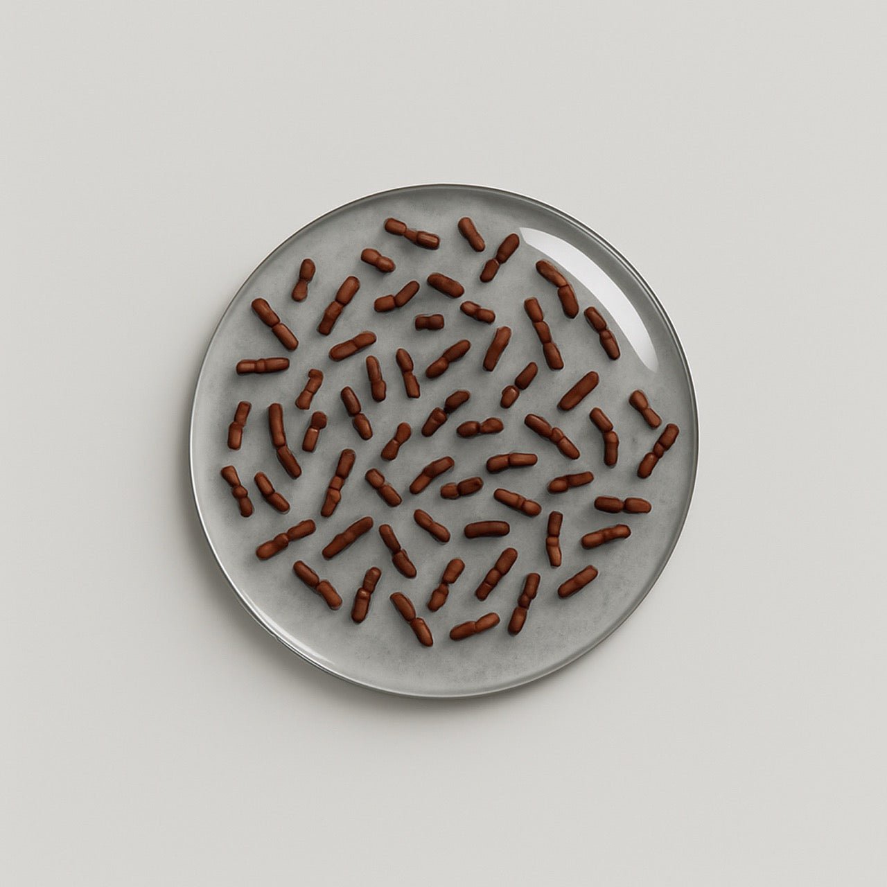 Nuzest ingredients - Lactobacillus casei