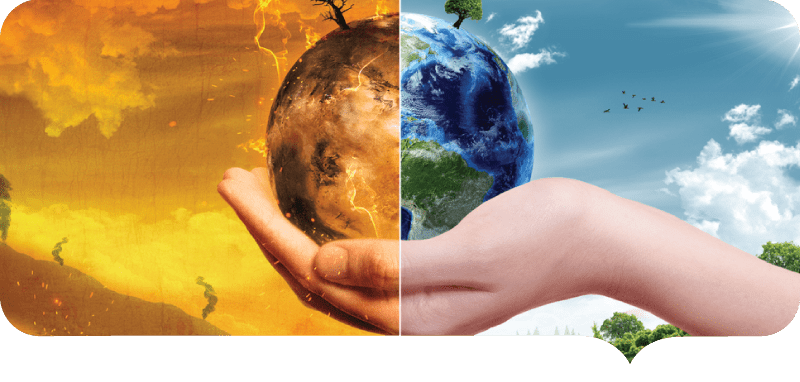 WHAT IS YOUR TOXIC BURDEN?
