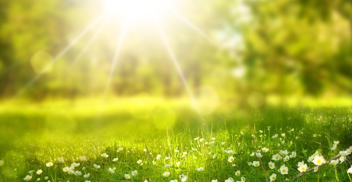 Spring into Spring! – Nuzest AU